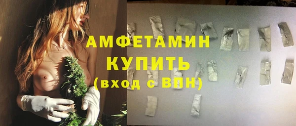 стафф Вязьма